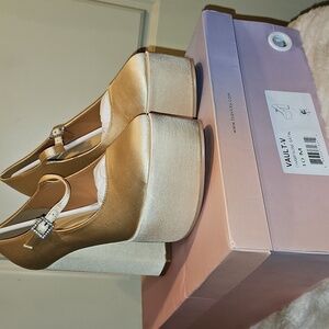 Lisa Vicky Champagne Beige Vault Platform Satin Mary Jane Pump 10